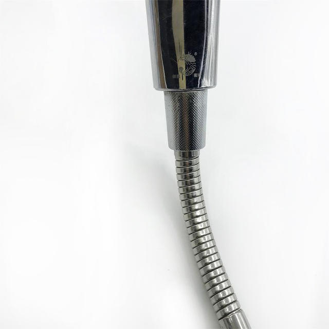 Cross-Border Wholesale Silver Dragon Shower Head Handheld Shower Set Showerhead Power-Boosting Spray Head detail 5