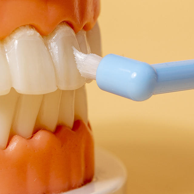 Two-piece combination orthodontic toothbrush single bundle brush correction teeth medical oral dental small pointed pet tooth gap brush detail 10