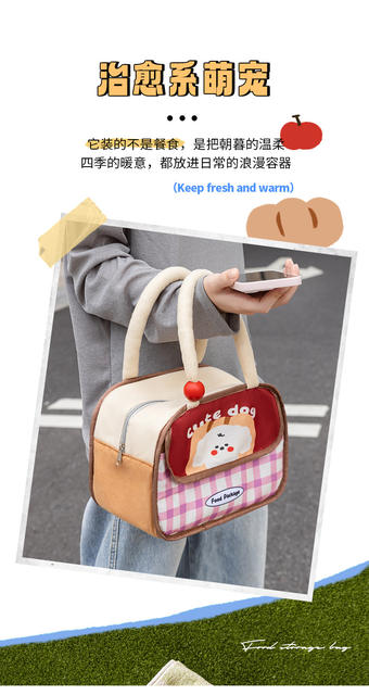 Lunch Bag Lunch Box Double-Layer Tote Bag Office Worker Lunch Bag Breakfast Insulated Lunch Box Lunch Bag Thickeneded Aluminum Foil detail 5
