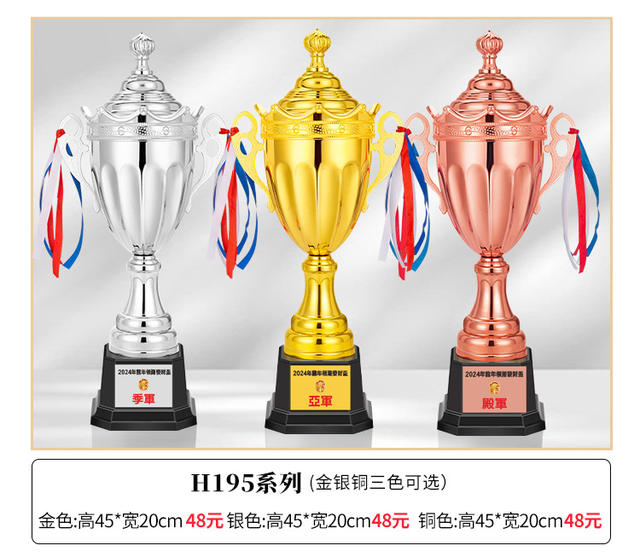 Metal Trophy Gold Silver Copper Trophy Customized Football Basketball Taekwondo Badminton Primary School Games detail 12