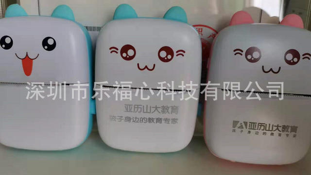 Self-adhesive small portable wireless thermal photo printer pocket student mini wrong label printer detail 8