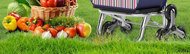 Lightweight Hand-Pulled Shopping Cart for Elderly People, Large Capacity Shopping Cart, Small Pull Cart, Household Cloth Bag, Portable Folding Cart, Manufacturer detail 2