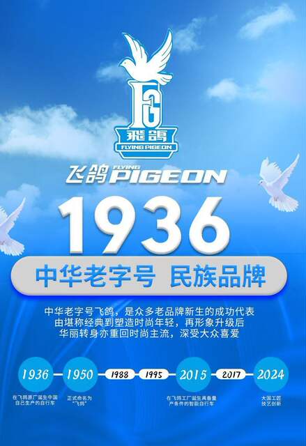 Flying Pigeon Brand Mountain Bike Men's Variable Speed Off-Road Bike Teenagers Middle School Students Ladies Road Racing Adult detail 1