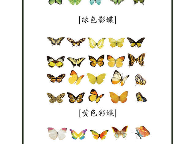 PET sticker bag butterfly Manor series Journal Diary DIY decorative material pattern transparent waterproof small stickers detail 11