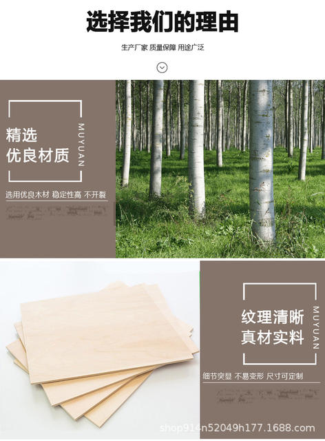 Yangmu Shuangqing Multi-Layer Board Pyrography Material Wooden Board Custom Laser Plywood Art Processing Poplar Board detail 5