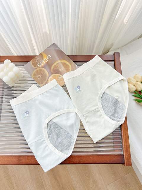 During the physiological period, underwear development period, junior high school students, girls, women, menstrual period, leak-proof, big children, aunt cases, special for holidays detail 10