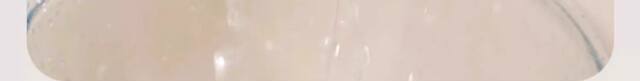 Kitchen-Specific Rags for Home Use, Absorbent, Lint-Free, Easy to Clean, Thickened Table Cloths, Stove Cleaning Towels, Dishwashing Cloths detail 12