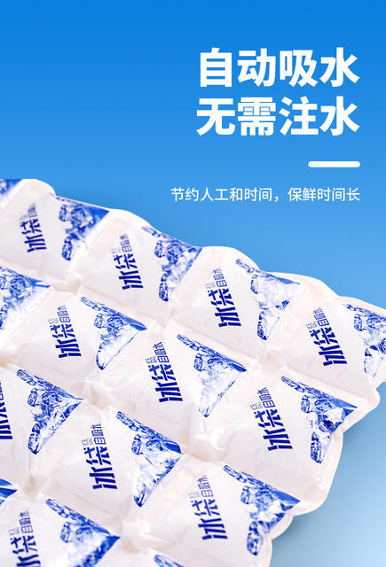 Disposable Self-Absorbing Water Ice Packs, 24 Compartments, Thickened for Freshness, Refrigeration, Ice Packs for Express Delivery, Food, Seafood, Cold Storage Bags detail 7