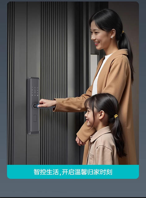 Fingerprint Unlock Smart Door Lock for Home Entrance, Anti-Theft Door, Landlord Apartment Password Lock, Electronic Lock, Semi-Automatic detail 9