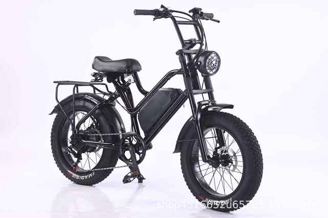 Snow and Beach Electric Bikes 48V Fat Tire 7-Speed Adult Off-Road Cross-Border Mountain Bike detail 1