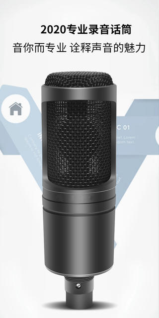 Cross-Border Foreign Trade At2020 Microphone Wired Condenser Microphone Anchor Recording Large Diaphragm Microphone Microphone detail 1