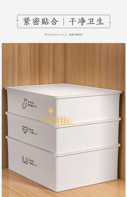 Household Underwear Socks Storage Box Plastic Cosmetic Organizer Storage Underwear Bra Underwear Storage Box detail 11
