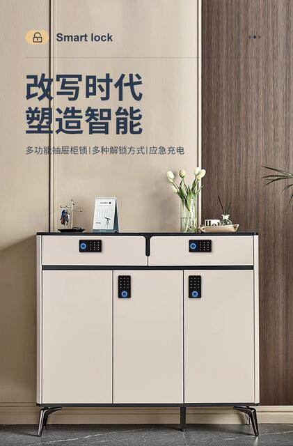 Fingerprint Cabinet Door Lock, Shoe Cabinet Lock, Exterior Cabinet File Cabinet Password Lock, Office Desk Smart Drawer Lock, Electronic Lock detail 1