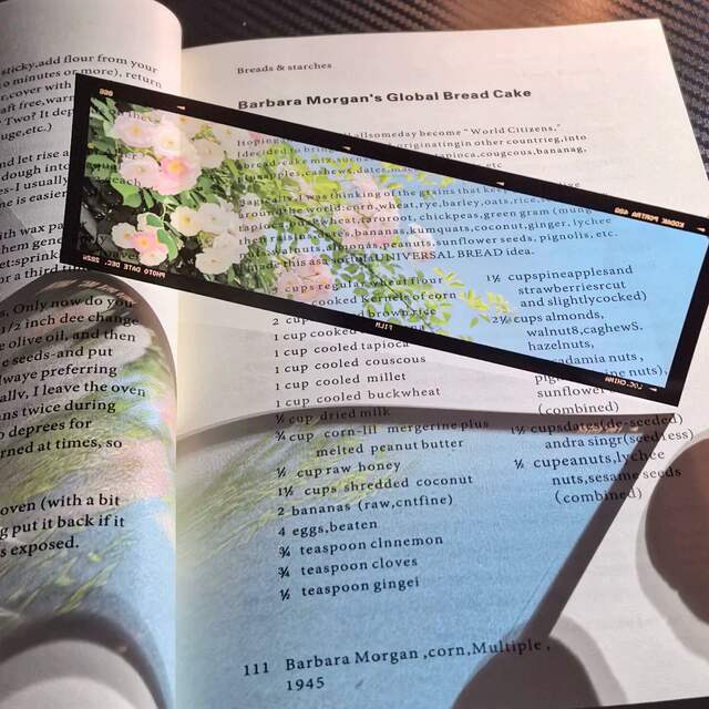 [Life] Film-Like Pet Film Bookmark, Cherry Blossoms, Spring Rain, Ocean, Light-Transmitting Art Photography, Travel Scenery, Transparent Card detail 5