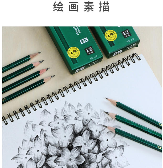 Chinese Pencil Hb/H/2H/3H/6H/B/2B/3B/4B/5B/6B/8B Zhonghua Brand Student Drawing Pencil detail 10