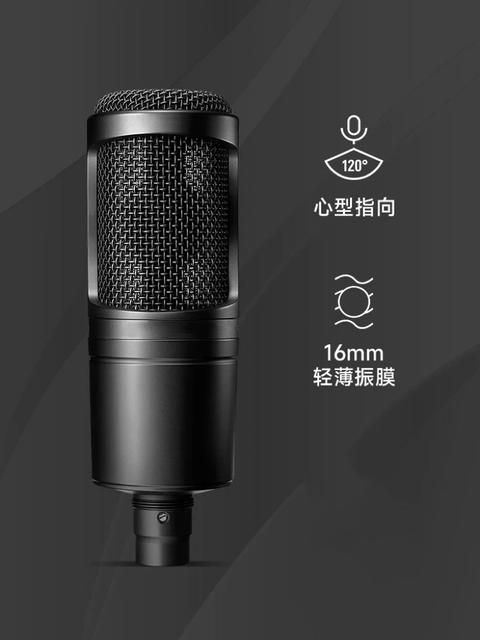 Cross-Border Foreign Trade At2020 Microphone Wired Condenser Microphone Anchor Recording Large Diaphragm Microphone Microphone detail 7
