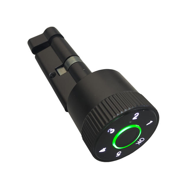 Fingerprint Password Smart Lock Core, Split Lock Panel Lock, Replacement Lock Core, Anti-Theft Smart Door Lock for Main Door and Wooden Door