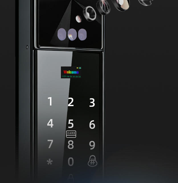 Cross-Border Fingerprint Lock, Face Recognition Fingerprint Password Lock for Entry Door, Remote Video Intercom Smart Door Lock Wholesale detail 11