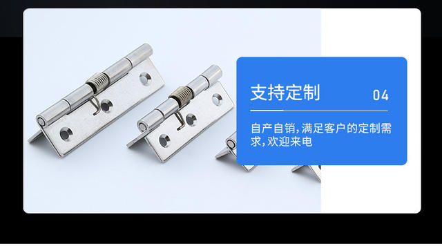 Manufacturer Wholesale 304 Stainless Steel Spring Hinges, Automatic Closing Rebound Hinges, Industrial Equipment Spring Hinges detail 11