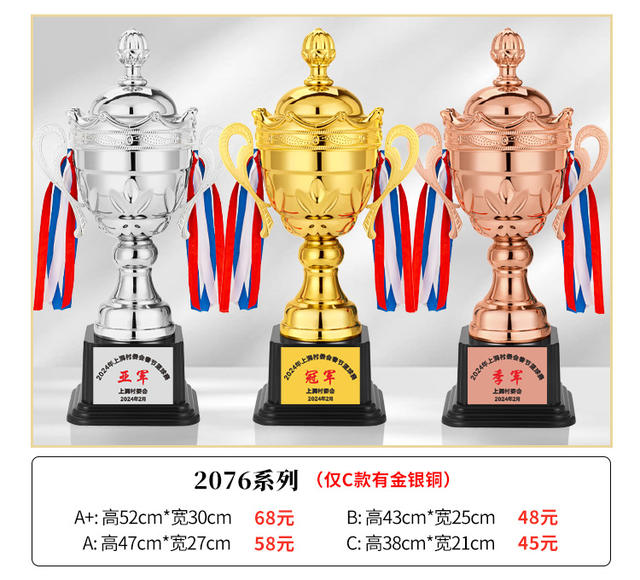 Metal Trophy Gold Silver Copper Trophy Customized Football Basketball Taekwondo Badminton Primary School Games detail 9