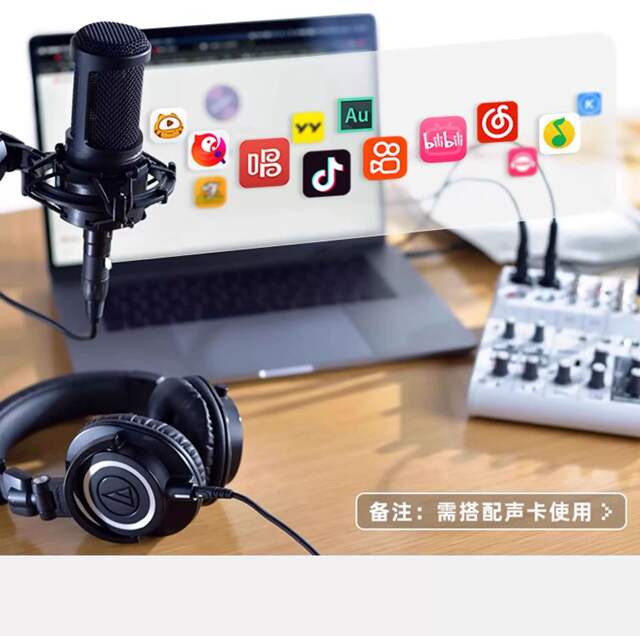 Cross-Border Foreign Trade At2020 Microphone Wired Condenser Microphone Anchor Recording Large Diaphragm Microphone Microphone detail 4