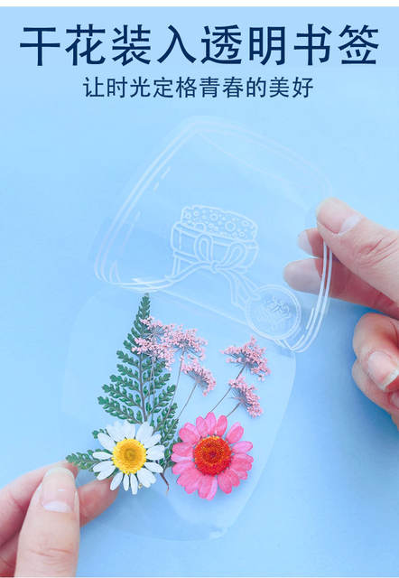 Dried Flower Bookmarks, Handmade DIY Materials, Autumn Childhood Collection Book in Bottles, Transparent Leaf Specimen Plastic Film detail 5