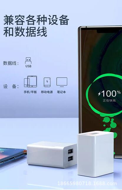 10W5V2A Single Port Dual Port Multi-Function USB Plug Fast Charging Head Android Universal Mobile Phone Charging Head Charger Head detail 10