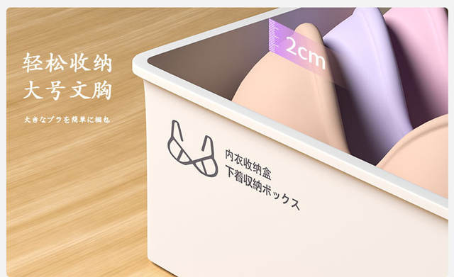 Household Underwear Socks Storage Box Plastic Cosmetic Organizer Storage Underwear Bra Underwear Storage Box detail 8