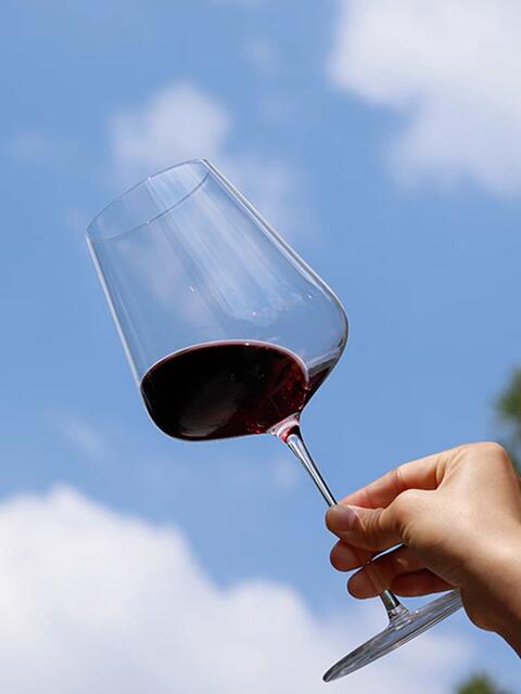 Domestic Ultra-Thin Zalto Flat Wine Glass Handmade Crystal Glass Red Wine Glass Ultra-Thin Slim High-Value Accessible Luxury Style detail 10