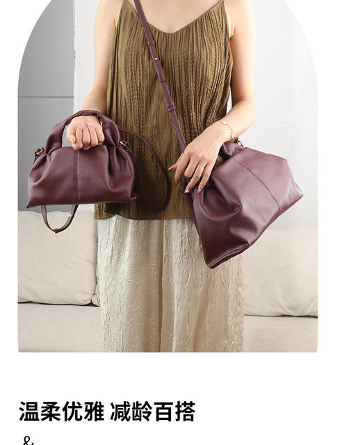 Cross-Border Polen Cloud Bag with Lychee Pattern Dumpling-Shaped Women's Fashion Handbag and Crossbody Bag detail 5