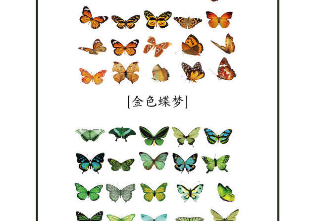 PET sticker bag butterfly Manor series Journal Diary DIY decorative material pattern transparent waterproof small stickers detail 10