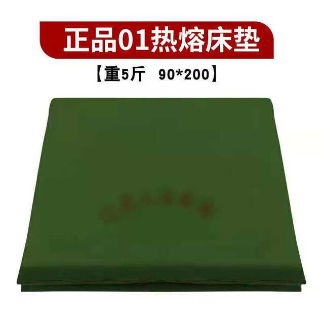 01 Mattress Hot Melt Cotton Pad Moisture-proof Cotton Pad Student Dormitory Single Mattress Mattress Cotton Pad