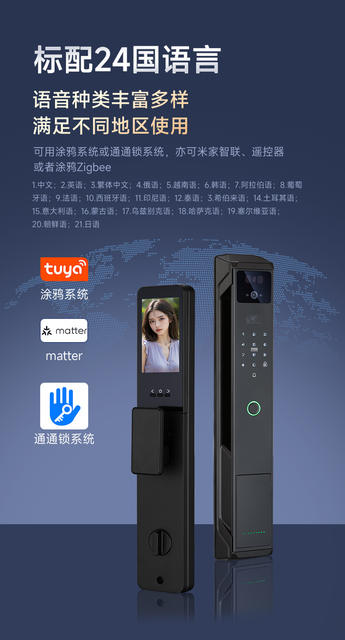 Smart Lock 3D Facial Recognition Smart Door Lock Fingerprint Password Lock Entry Door Monitoring Cross-Border Graffiti Palm Vein Recognition detail 11