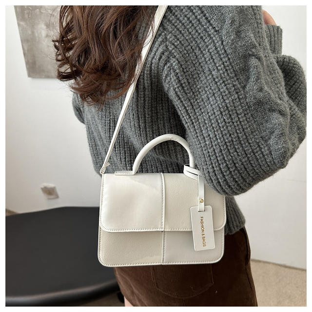Niche Design Portable Small Bag Women's 2024 Winter New Fashionable Commuter Small Square Bag High Beauty Shoulder Bag detail 10