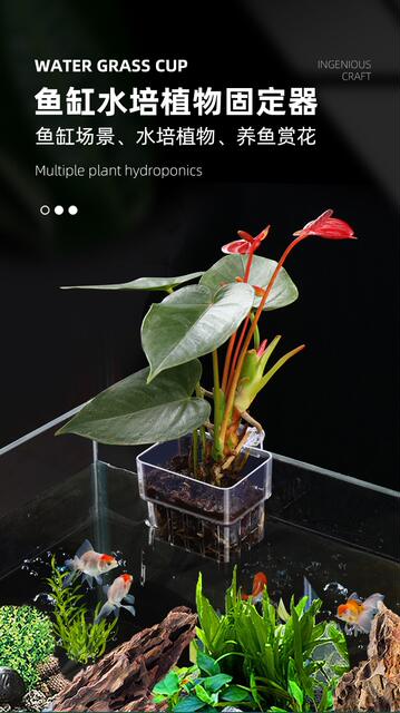 Green Radish Planting Cup, Aquatic Plant Cup, Water Grass, Hydroponic, Water-Growing Plant, Hanging Planting Basket, Fish Tank Decoration and Landscaping Accessories detail 7