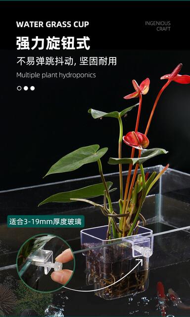Green Radish Planting Cup, Aquatic Plant Cup, Water Grass, Hydroponic, Water-Growing Plant, Hanging Planting Basket, Fish Tank Decoration and Landscaping Accessories detail 5