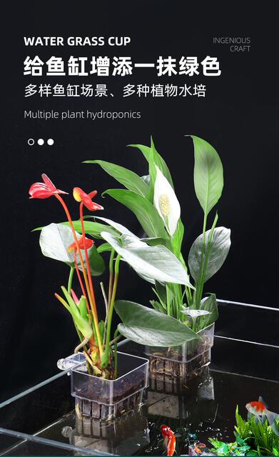 Green Radish Planting Cup, Aquatic Plant Cup, Water Grass, Hydroponic, Water-Growing Plant, Hanging Planting Basket, Fish Tank Decoration and Landscaping Accessories detail 3