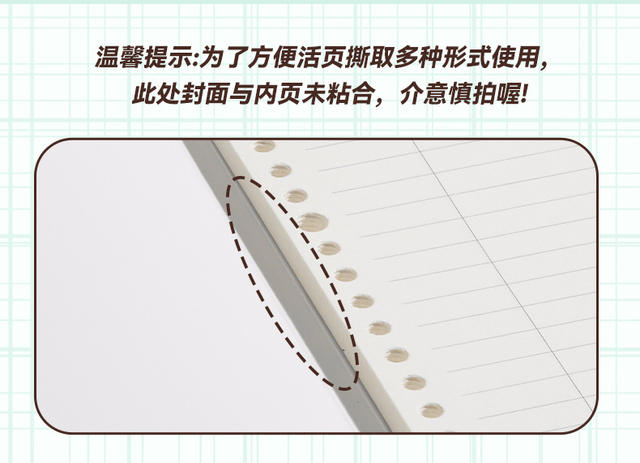 Kaba Bear Thin and Crisp Notebook, Fully Flat-Openable, High-Quality Spiral Notebook, Thick and Cute, Simple Design for High School Students' Assignments detail 9