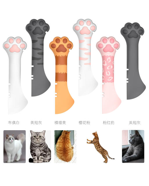 Cross-border New Long Handle Pet Cans Spoon Cats Cans Can Opener Cat Supplies Feeding Cat Shovel Pet Supplies detail 4