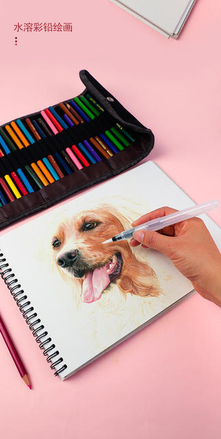 Manufacturer Wholesale Fountain Pen Solid Pigment Watercolor Painting Brush Large Capacity Water Storage Pen Water-Soluble Colored Lead Brush detail 12