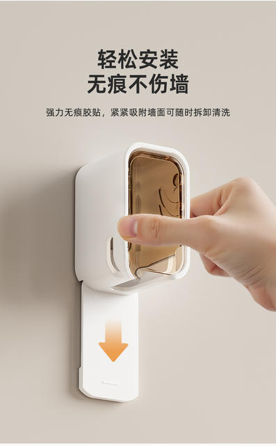 Dust-proof electric toothbrush holder toilet toothbrush rack wall-mounted non-perforated dental storage rack wholesale detail 11