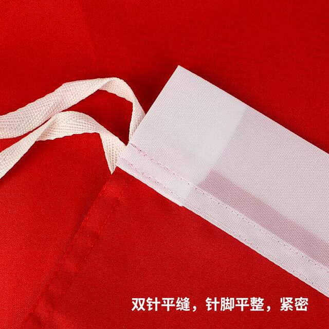 Factory Wholesale No. 12345 Thickened Party Flag, Red Flag, National Flag, Group Flag, Company Outdoor School Flag, Waterproof Flagpole detail 4