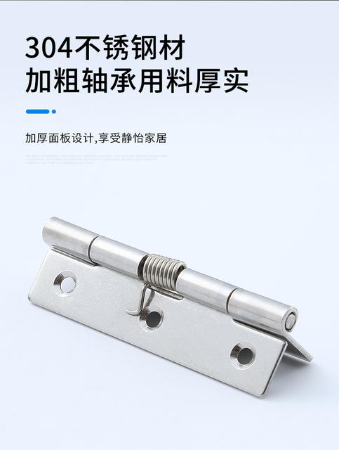 Manufacturer Wholesale 304 Stainless Steel Spring Hinges, Automatic Closing Rebound Hinges, Industrial Equipment Spring Hinges detail 4