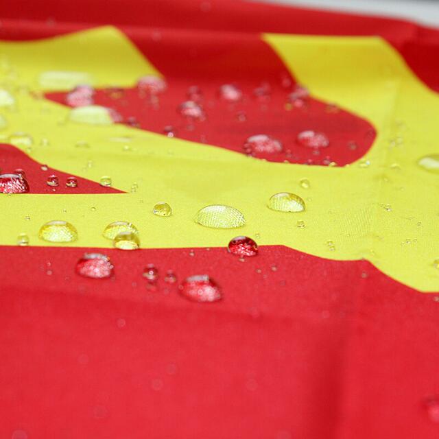 Factory Wholesale No. 12345 Thickened Party Flag, Red Flag, National Flag, Group Flag, Company Outdoor School Flag, Waterproof Flagpole detail 3
