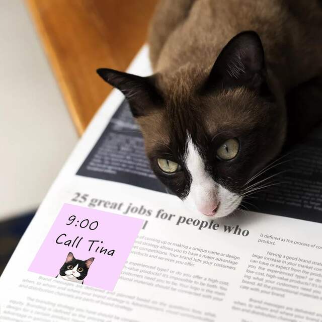 Cross-Border Creative Cat Sticky Notes with Strong Adhesive, Cute Small Notebooks, Colorful Sticky Notes, Small Strips for Marking, Suitable for Students detail 6