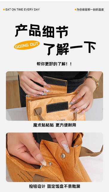 Dupont Paper Insulated Lunch Bag Bento Bag Office Worker Portable Lunch Box Bag Japanese Creative Niche Ins Ice Bag Student detail 9