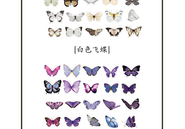 PET sticker bag butterfly Manor series Journal Diary DIY decorative material pattern transparent waterproof small stickers detail 8