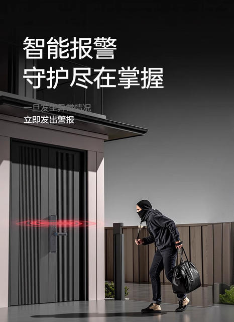 Fingerprint Unlock Smart Door Lock for Home Entrance, Anti-Theft Door, Landlord Apartment Password Lock, Electronic Lock, Semi-Automatic detail 6
