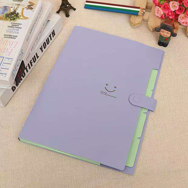 Smile A4 Accordion File Bag for Organizing Test Papers, Subject-Specific Student Tutoring Bag, Customizable Folder for Student Office Use detail 5