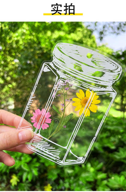 Dried Flower Bookmarks, Handmade DIY Materials, Autumn Childhood Collection Book in Bottles, Transparent Leaf Specimen Plastic Film detail 8